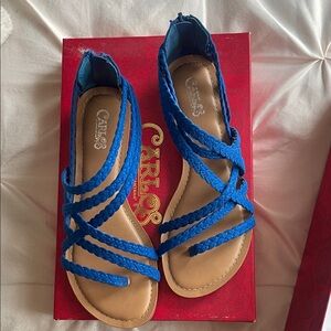 Carlos by Carlos Santana Vibrant Blue Braided Sandals